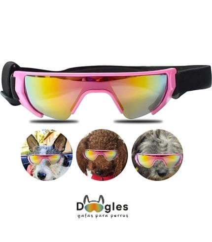 gafas para perro mediano