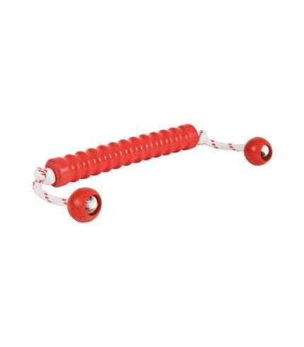 Juguete flotante para perro