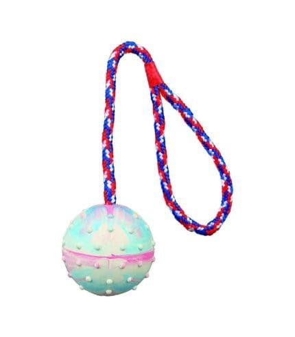 Pelota para adiestramiento-TRIXIE