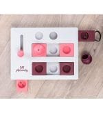 Gato jugando con el Cat Activity Brain Mover, un juego de estrategia y rompecabezas.