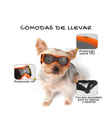gafas para perro raza pequena o miniaturas