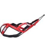 pechera-arnes-perro-canicross-correr