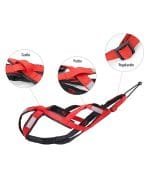 pechera-arnes-perro-canicross-correr