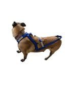 pechera-arnes-perro-canicross-correr