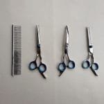 tijeras peluqueria canina perros gatos